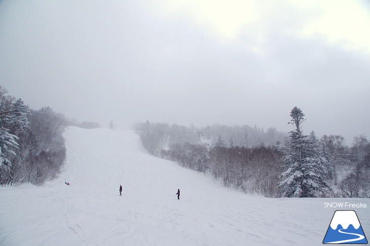 キロロリゾート 児玉毅の『雪山の達人』に密着！